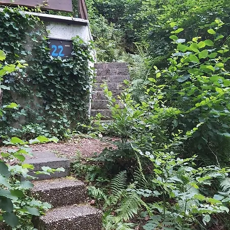 Am Edersee * Vohl